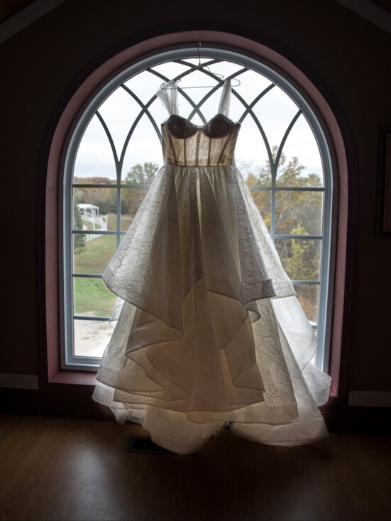 Evie Young Dresses & Skirts - Evie Young Holli Size 10 Wedding Dress
